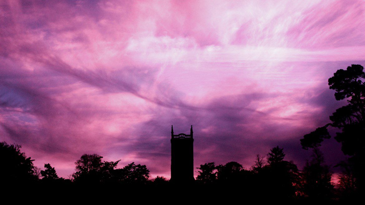 silhouette photo of trees and building under purple sky at daytime